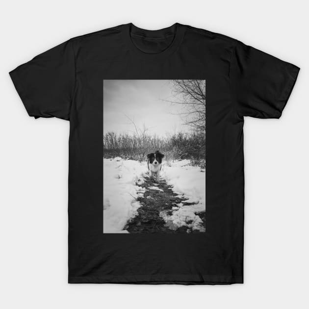 on a frozen path T-Shirt by psychoshadow